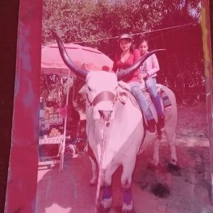 Meet your Posher, Ignacio